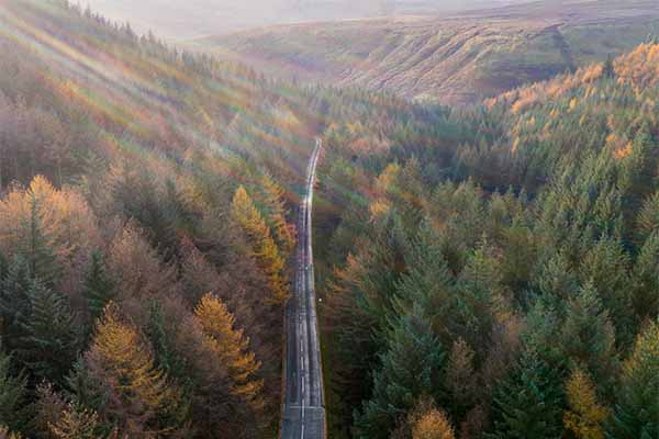 Derbyshire National Forest