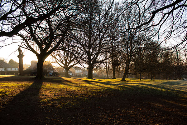 Northamptonshire Abington Park